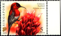 BIRDS-CRIMSON SUNBIRD-SINGAPORE-REPRINT SERIES-2007A-MNH-B6-883 - Colibris