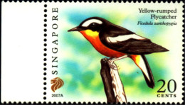 BIRDS-YELLOW RUMPED FLYCATCHER-SINGAPORE-REPRINT SERIES-2007A-MNH-B6-883 - Climbing Birds