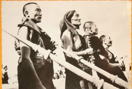 Népal - Kathmandou (Katmandou) Bonzes Tibétains - Photo A. Robillard Signée - Carte Non Circulée - Asien