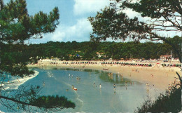 17  VAUX  Sur MER -   La Plage  De NAUZAN - Vaux-sur-Mer