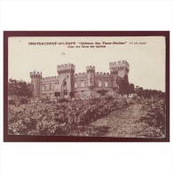 Châteauneuf Du Pape  Château Des Fines Roches 1er Cru Classé - Chateauneuf Du Pape