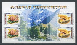 TADJIKISTAN 1999 Bloc N° 22 ** Neuf = MNH  Superbe Cote 6 €  Flore Champignons Pleurotus Lepista Musrooms Flora - Tadjikistan