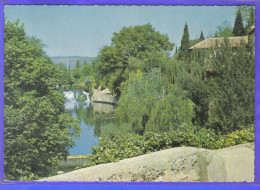 Carte Postale 83. Le Muy Le Vieux Moulin    Trés Beau Plan - Le Muy