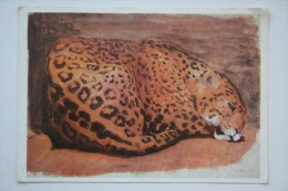 Painter VATAGIN. Jaguar  - Old USSR Postcard 1978 - Tigres