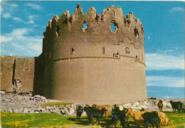 Carte Postale Diyarbakir Turquie La Tour Des Sept Frères De 1208 - Turkey
