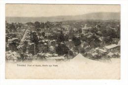 TRINIDAD  /  PORT  OF  SPAIN  , BIRD' S  EYE  VIEW  ( Vue Générale Aérienne ) /  CPA  PRECURSEUR  ( éditée Avant 1904 ) - Trinidad