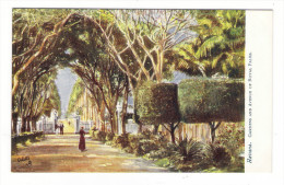 CUBA  /  HAVANA  /  GARDENS  AND  AVENUE  OF  ROYAL  PALMS  /   Edit. RAPHAEL TUCK & Sons  /  OILETTE , Serie N° 7729 - Cuba