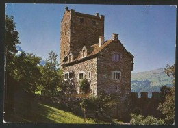 EHRENFELS GR Burg Jugendherberge Sils Domleschg 1969 - Domleschg