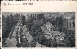 Boitsfort - Le Logis : Avenue Du Ramier Et Rue De L'Autruche - Watermael-Boitsfort - Watermaal-Bosvoorde