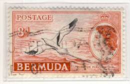 Bermuda Mi.Nr. - BM - 139 - 1955 - Refb3 - 1858-1960 Colonie Britannique