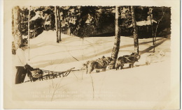 North Woodstock Real Photo Ed. Clark´s Eskimo Sled Dog  Chien Traineau Attelage Chiens Putnam Phot Antrim - Autres & Non Classés