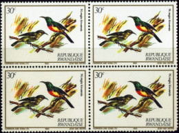 BIRDS-NECTAR SUCKING BIRDS-REGAL SUNBIRDS-RWANDA-1983-BLOCK OF 4-MNH-B6-795 - Colibrì