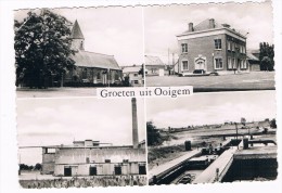 B5699    OOIGEM : Multiview - Wielsbeke