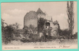 ASSIER - RUINES DU CHATEAU COTE PARC - Assier