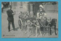 CPA - Voiture à Chiens Métier Marchande De Lait Laitière Flamande - Belgique - Andere & Zonder Classificatie