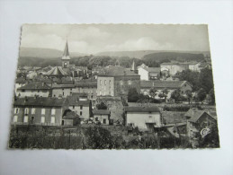 DARNAY  Vue Générale .GRAND BAZAR VOSGIEN  88 Vosges - Darney