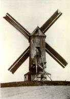 SINT-DENIJS-BOEKEL Bij Zwalm (O.Vl.) - Molen/moulin/mill - De Verdwenen Franskoutermolen Omstreeks 1930 - Zwalm