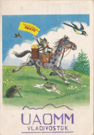 QSL Card Amateur Radio CB Vladivostok 1963 Moscow CCCP USSR Horse Fox Vos Egel Hedgehog - Amateurfunk