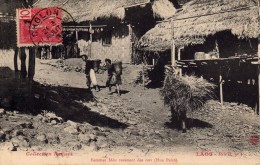 LAOS (ASIE - TONKIN  - Indochine - Viet-Nam - CHINE)  :   Femmen MEOS Revenant Des Raïs (HUA PAHN) - Laos