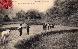 LAOS (ASIE - TONKIN  - Indochine - Viet-Nam - CHINE)  :  Dans La Rivière (HUA PAHN) - Laos