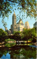 USA. Carte Postale Ayant Circulé En 1954. Central Park/Fifth Avenue. - Central Park