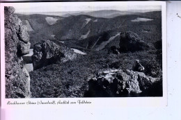 5787 OLSBERG - BRUCHHAUSEN, Bruchhauser Steine, Ausblick V. Feldstein - Meschede