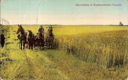 CANADA-HARVESTIN IN SASKATVHEVAN-RECOLTE DU FOIN-ATTELAGE-CHEVAUX-AGRICULTURE - Andere & Zonder Classificatie