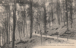 PLOMBIERES     VOSGES  88  LE CHEMIN DE LA FONTAINE STANISLAS - Plombieres Les Bains