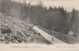 PLOMBIERES     VOSGES  88    CPA MORAINES DU PARC - Plombieres Les Bains