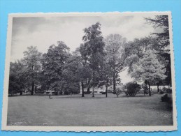 RIJKSTUINBOUWSCHOOL ( Zicht Van De Warande ) Anno 19?? ( Zie Foto Voor Details ) !! - Vilvoorde