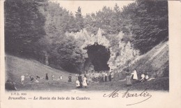 9683 - Bruxelles - Le Ravin Du Bois De La Cambre - Bossen, Parken, Tuinen