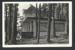 CPA Autriche - Photo Carte - Foto Kaart - Heilstatte Der Oster.Ges. V. Roten Kreuz In GRIMMENSTEIN - Kurhaus   // - Neunkirchen