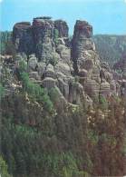 CPM - Sächsische Schweiz - Blick Von Der Basteibrücke Zur Kleinen Gans - Bastei (sächs. Schweiz)