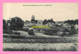 CPA  BRIIS SOUS FORGES  Vue Générale - Briis-sous-Forges