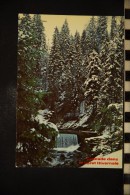 CP  Cascade Dans La Foret Hivernale - Árboles