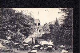 AK  Ansichtskarte Von Hagen - Waldeslust Vom 3.10.1908 - Hagen