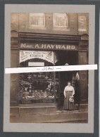 GLASGOW-SHOP-FRUITS-MME.A.HAYWARD-REAL-PHOTO-WILSON-BROTHERS-PHOTOGRAPHERS-TOP-OBJECT-PIECE UNIQUE-LOOK AT 2 SCANS ! ! - Lanarkshire / Glasgow