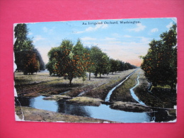 An Irrigated Orchard,Washington - Tacoma