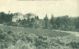 Chateauneuf Du Pape Le Chateau De Vaudieu Et Le Parc - Chateauneuf Du Pape