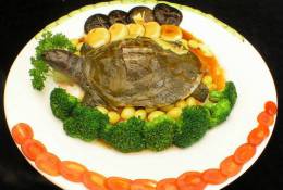 AN01-096   @  Food Dishes  Turtle  Tortue Schildkröten Tortugas ,    ( Postal Stationery , Articles Postaux ) - Schildpadden