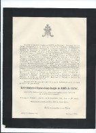 Annonce/Marie Antoinette Clémence Fanny Joséphe De Badts De Cugnac /26 Ans //1894  FPD54 - Todesanzeige