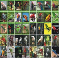 B02185 China Phone Cards Parrot Puzzle 160pcs - Parrots