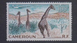 CAMEROUN       1955      PA        N°    47      COTE      7 € 90         ( D 121 ) - Poste Aérienne