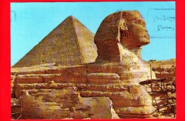 EGITTO - Cartolina Viaggiata - Anni 90 - GIZA - Piramidi - The Sphinx And The Pyramid Of Cheops - Guiza