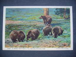 US Wyoming - GRIZZLY BEAR FAMILY, YELLOWSTONE NATIONAL PARK - Copyright 1927 By Haynes, Unused - Yellowstone