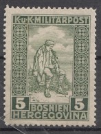 Austria Occupation Of Bosnia 1916 Mi#97 Mint Hinged - Neufs