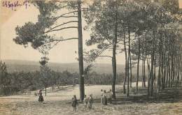 ARCACHON VUE SUR LA FORET - Arcachon