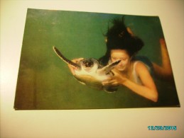 Turtle In BATUMI  DELPHINARIUM ,  POSTCARD, O - Tortues