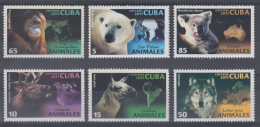 2011.17 CUBA MNH 2011. OSO POLAR, ORANGUTAN, KOALA, LOBO GRIS, LLAMA, WAPITI. POLAR BEAR, ORANGUTAN, KOALA, GREY WOLF. - Neufs