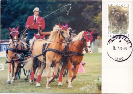 MAXIMUN CARD Belgie 2002.Attelage/Mennen.Jumping..2v.MNH**.Horses.Chevaux.(max0154) - Sonstige & Ohne Zuordnung